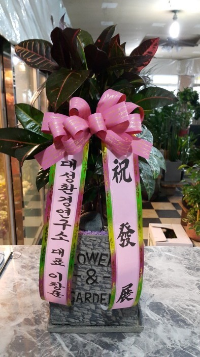 뼺ȯ濬 ǥ âƴ԰